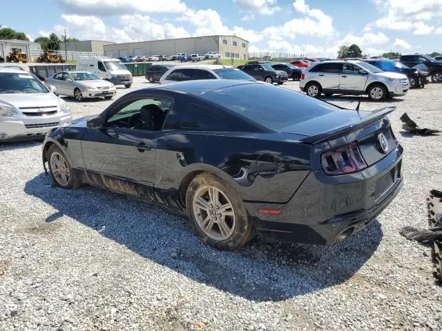 2014 FORD MUSTANG   