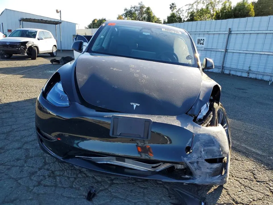 2025 TESLA MODEL Y   