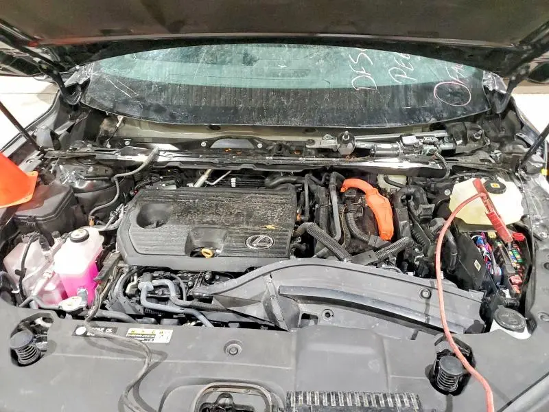 2025 LEXS RX 350H BA   