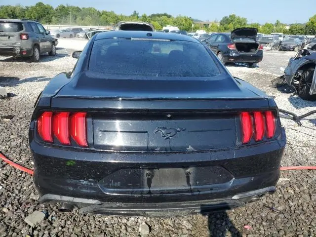 2019 FORD MUSTANG   