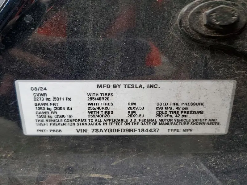 2024 TESLA MODEL Y   