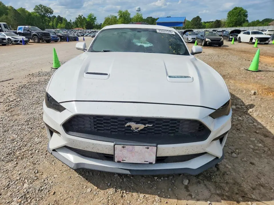 2019 FORD MUSTANG   