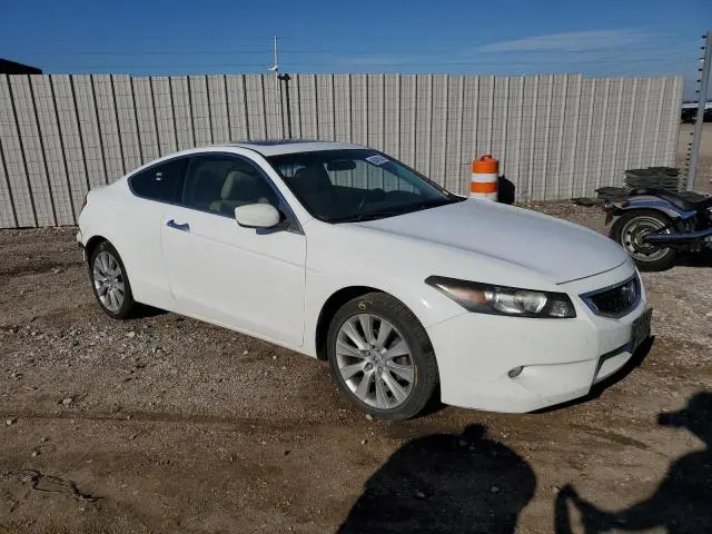 2010 HONDA ACCORD EXL  
