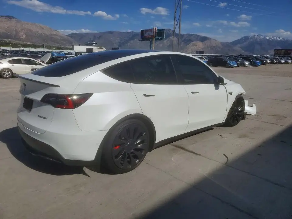 2021 TESLA MODEL Y   