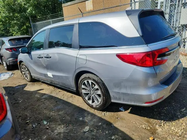 2024 HONDA ODYSSEY EXL  