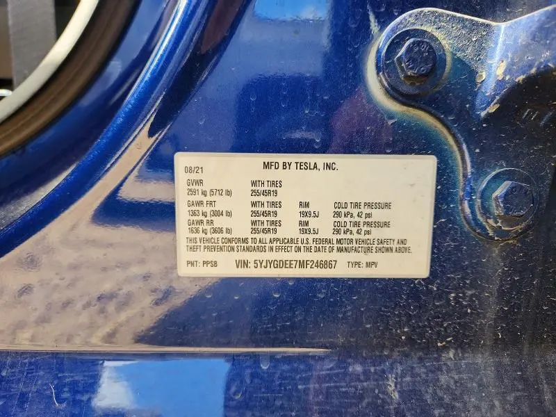 2021 TESLA MODEL Y   