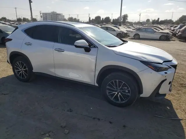 2025 LEXUS NX 250 BASE  