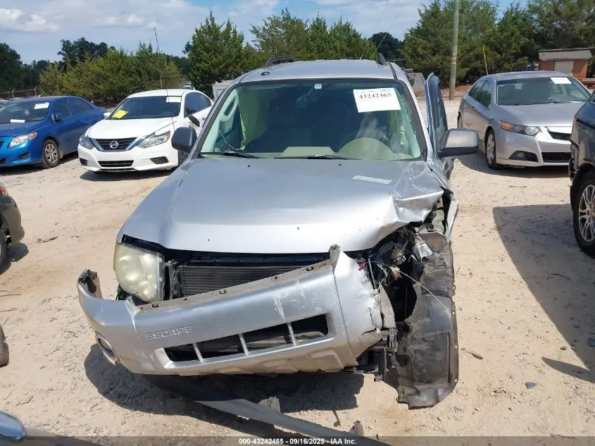 2010 FORD ESCAPE XLT