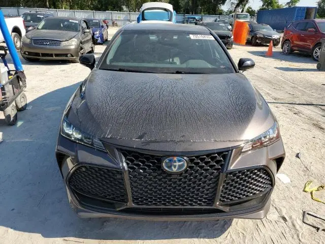 2019 TOYOTA AVALON XLE  