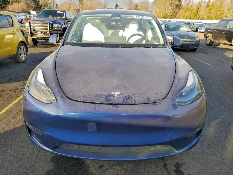 2024 TESLA MODEL Y   