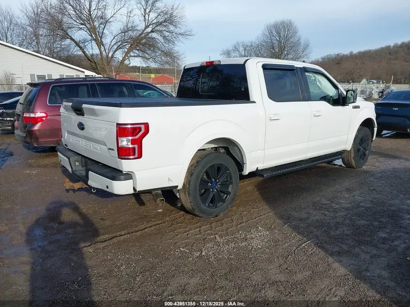 2019 FORD F-150 XLT