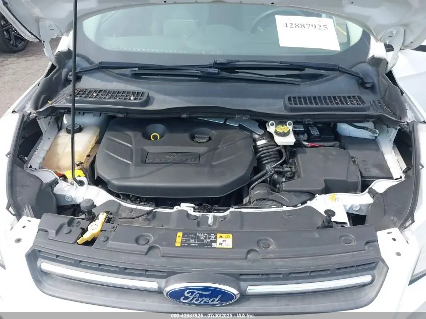 2013 FORD ESCAPE SE
