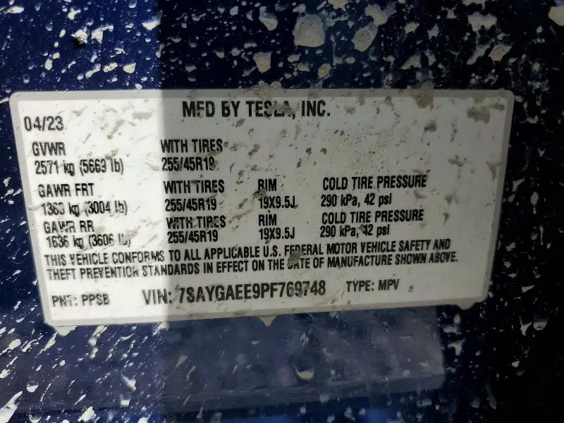 2023 TESLA MODEL Y   