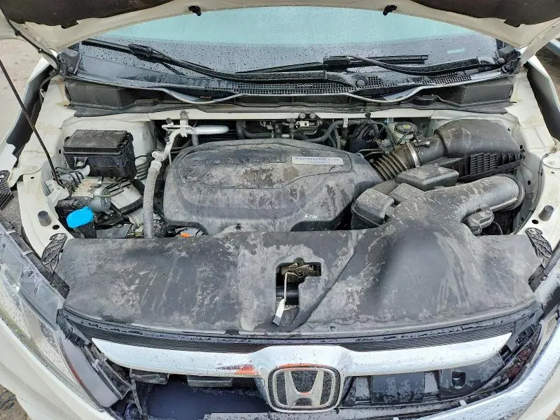 2019 HONDA ODYSSEY EXL  