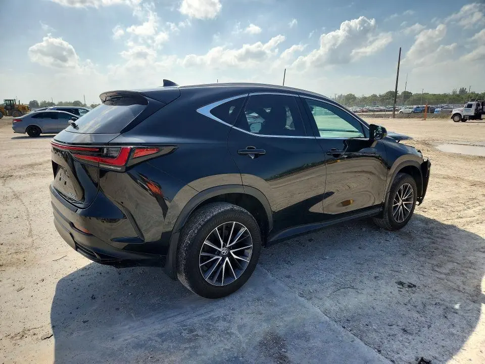 2024 LEXUS NX 250 PREMIUM  