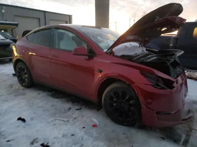 2025 TESLA MODEL Y 