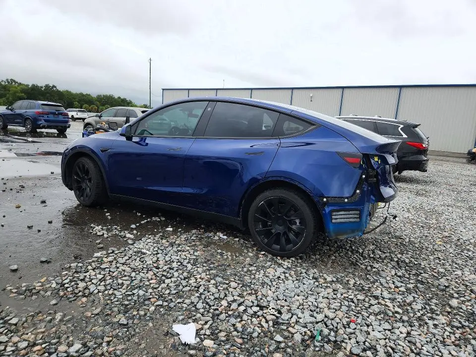 2021 TESLA MODEL Y   