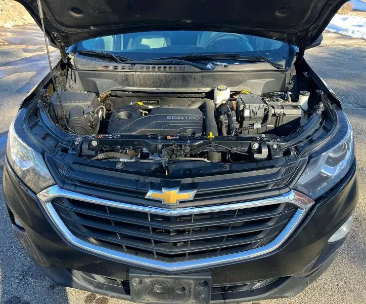 2019 CHEVROLET EQUINOX LS  