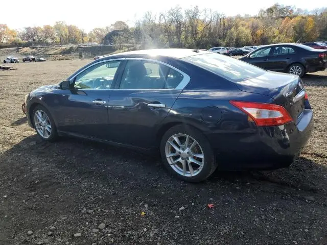2010 NISSAN MAXIMA S  