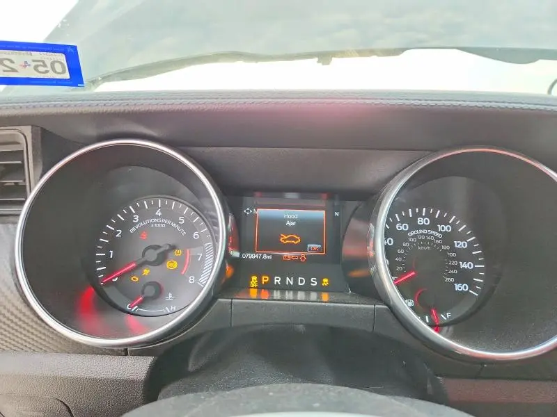 2019 FORD MUSTANG   