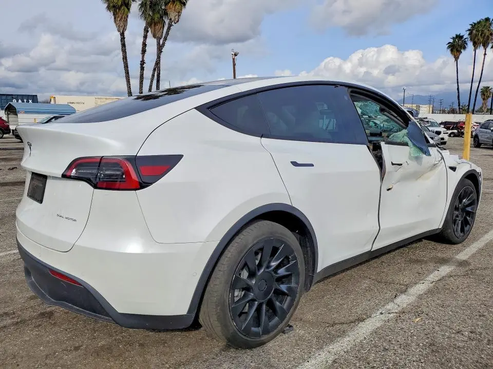 2021 TESLA MODEL Y   