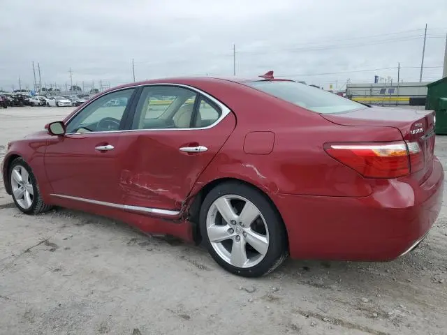 2010 LEXUS LS 460  