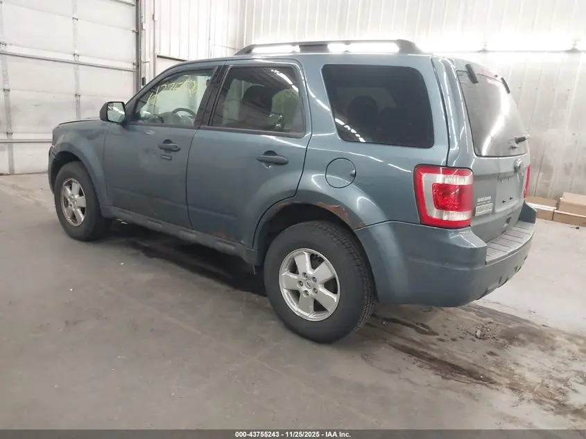 2011 FORD ESCAPE XLT