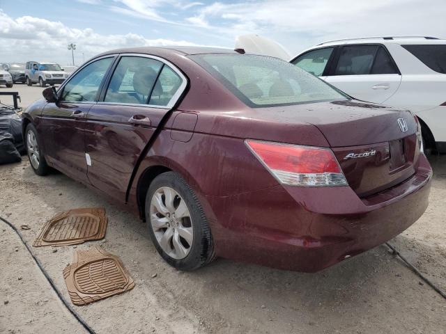 2010 HONDA ACCORD EXL