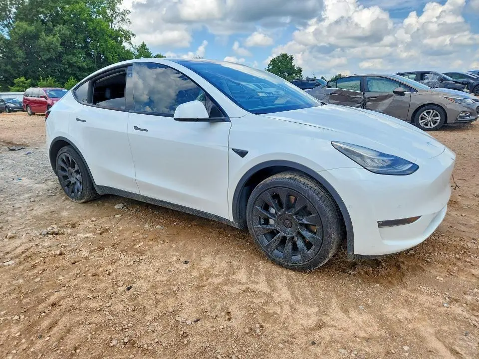 2021 TESLA MODEL Y   