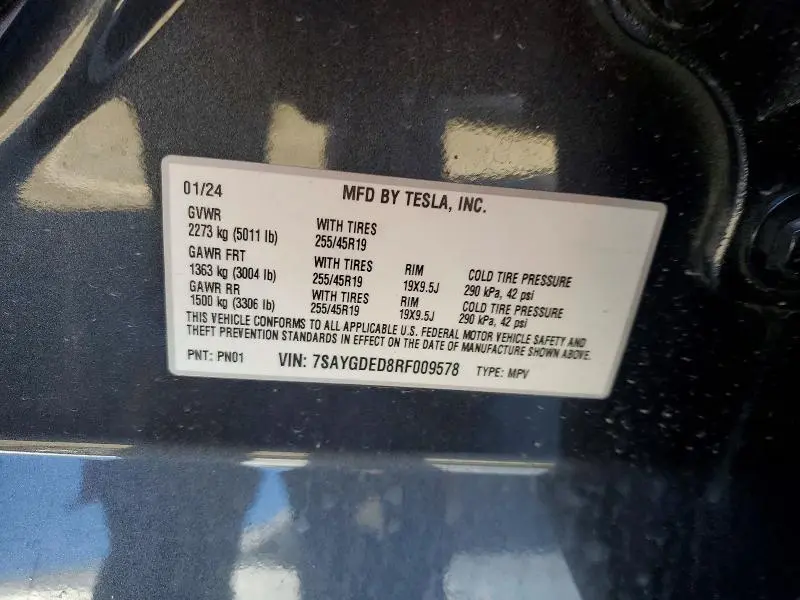 2024 TESLA MODEL Y   