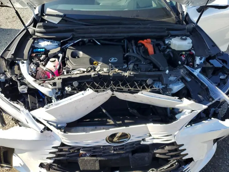 2025 LEXUS RX 450H+ LUXURY  