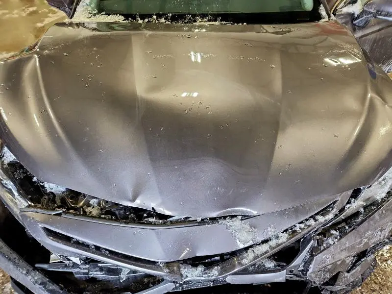 2023 TOYOTA CAMRY XLE  