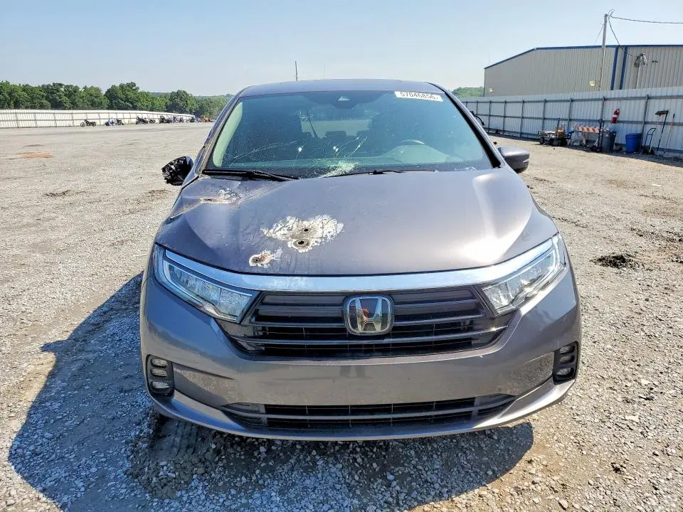 2024 HONDA ODYSSEY EXL  