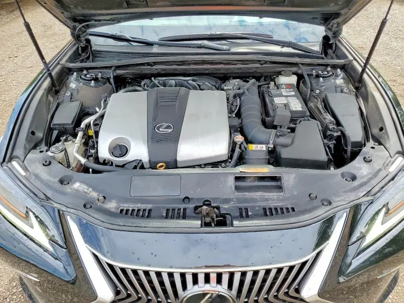 2019 LEXUS ES 350  