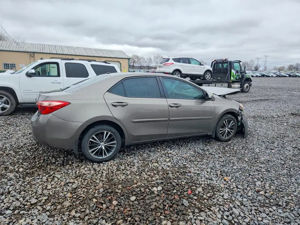 2019 TOYOTA COROLLA LE  