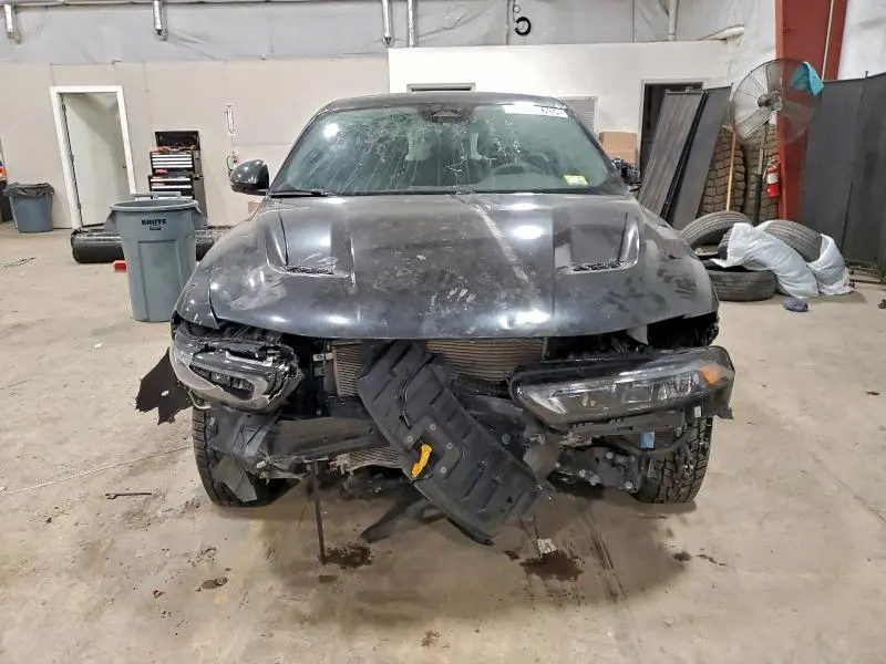 2024 DODGE HORNET   