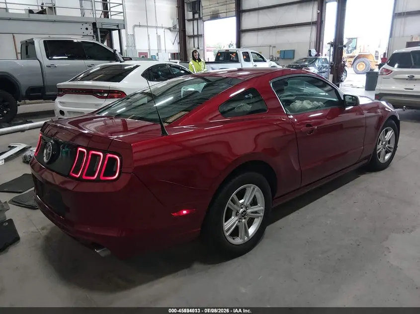 2014 FORD MUSTANG  