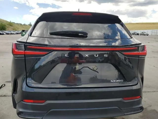 2023 LEXUS NX 250  