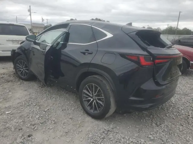 2023 LEXUS NX 350  