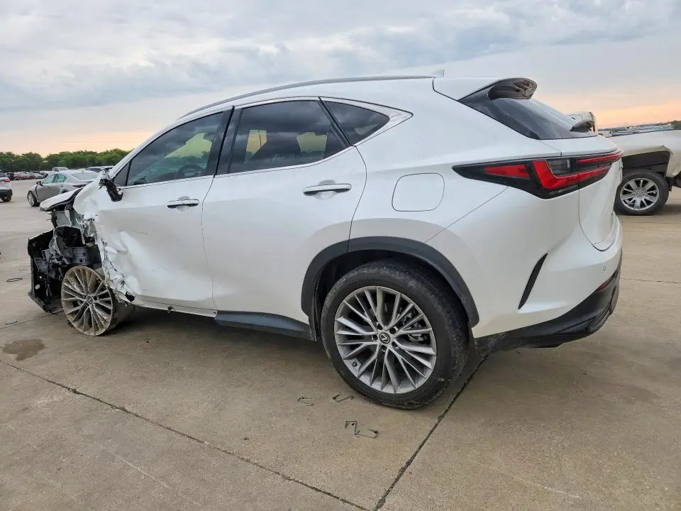 2023 LEXUS NX 350H  
