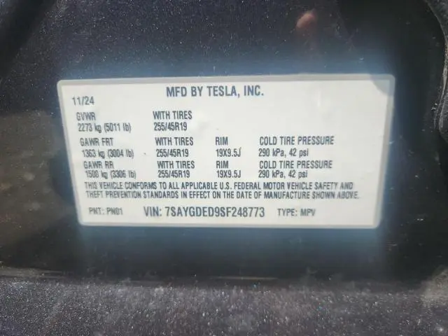 2025 TESLA MODEL Y   