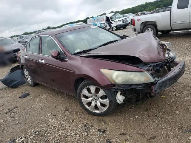 2010 HONDA ACCORD EXL  