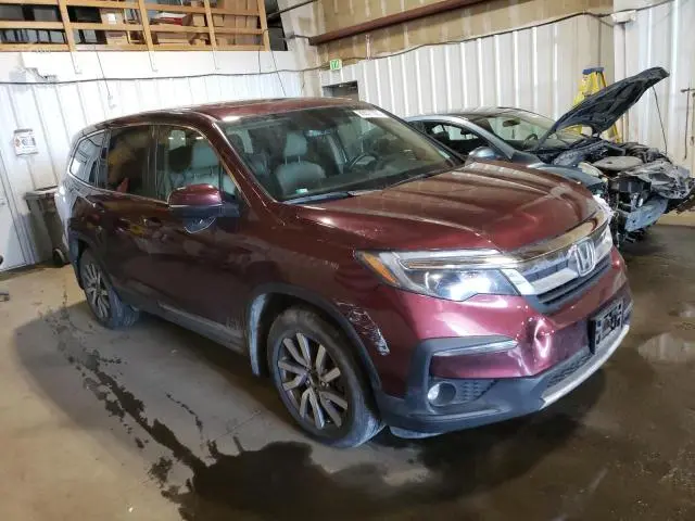 2019 HONDA PILOT EXL  