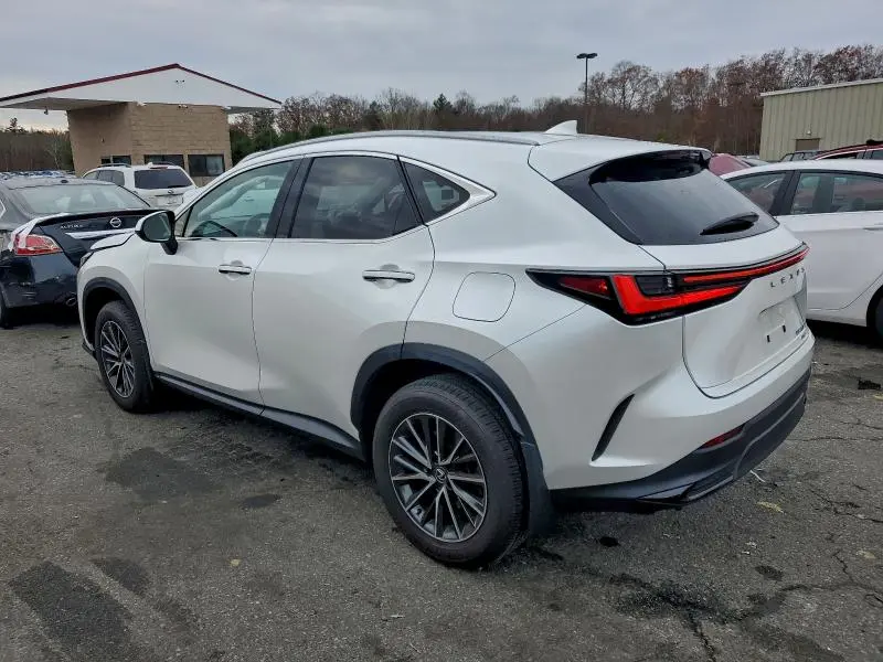 2024 LEXUS NX 350 BASE  