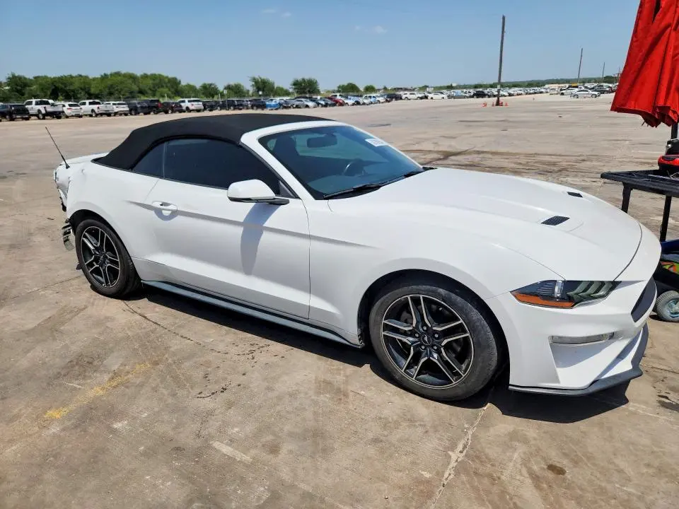 2019 FORD MUSTANG   