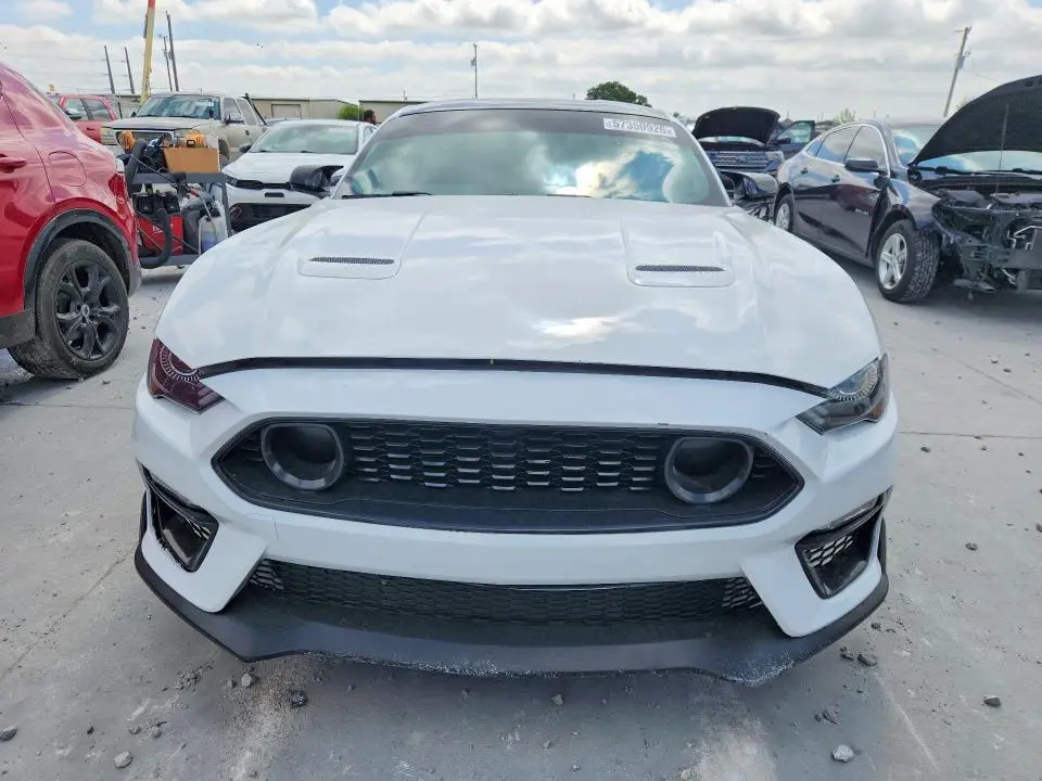 2019 FORD MUSTANG   