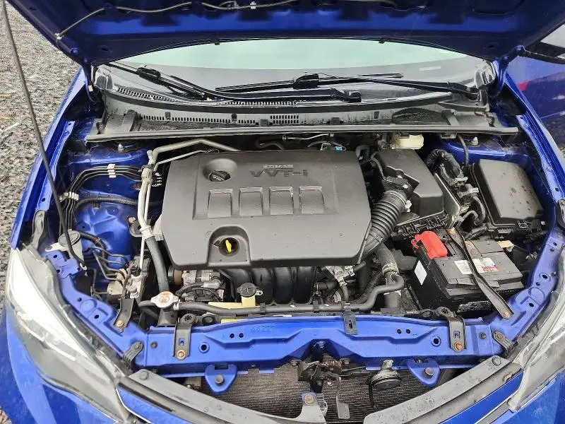 2019 TOYOTA COROLLA SE  