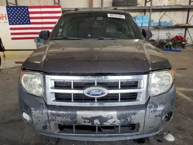 2011 FORD ESCAPE XLT