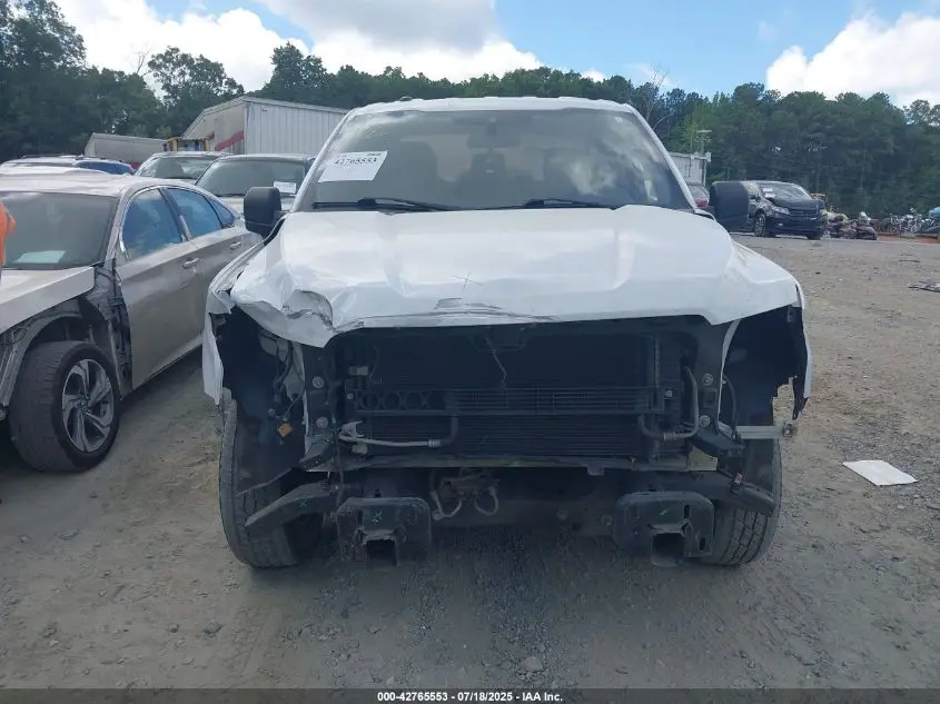 2019 FORD F-150 XL