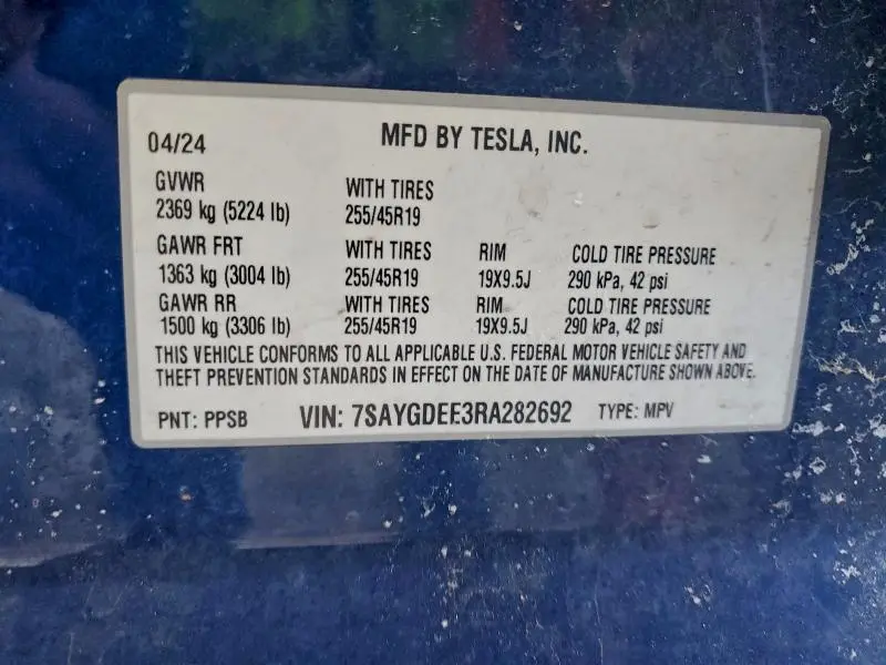 2024 TESLA MODEL Y   